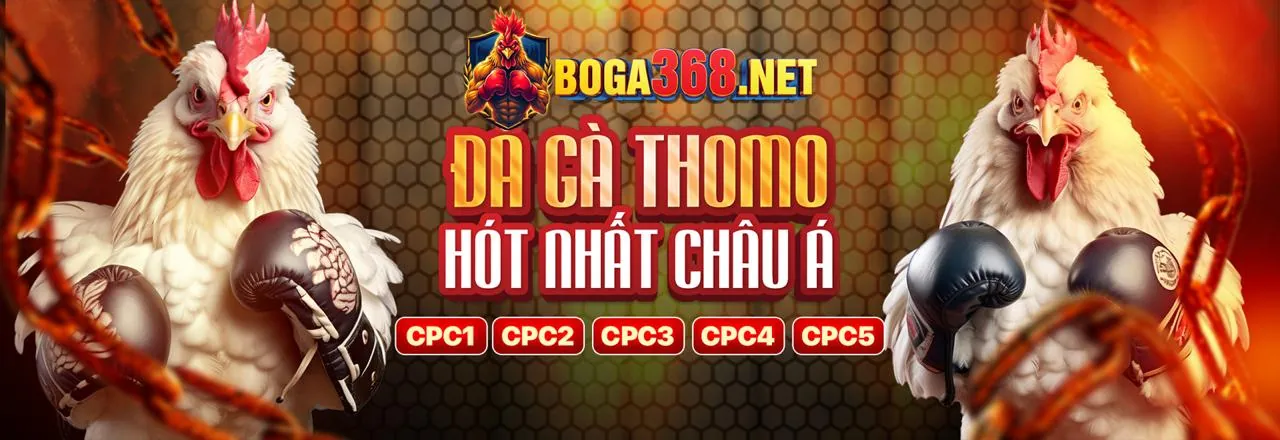 Suncity Đăng Nhập Khuyến Mãi Hấp Dẫn